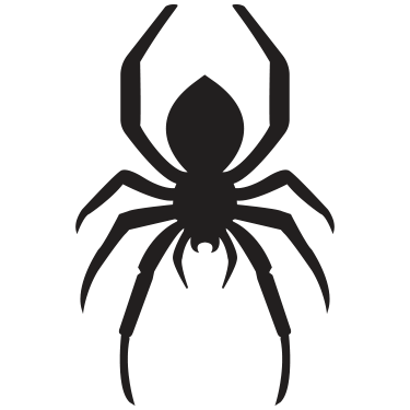 Spider Tattoo Design