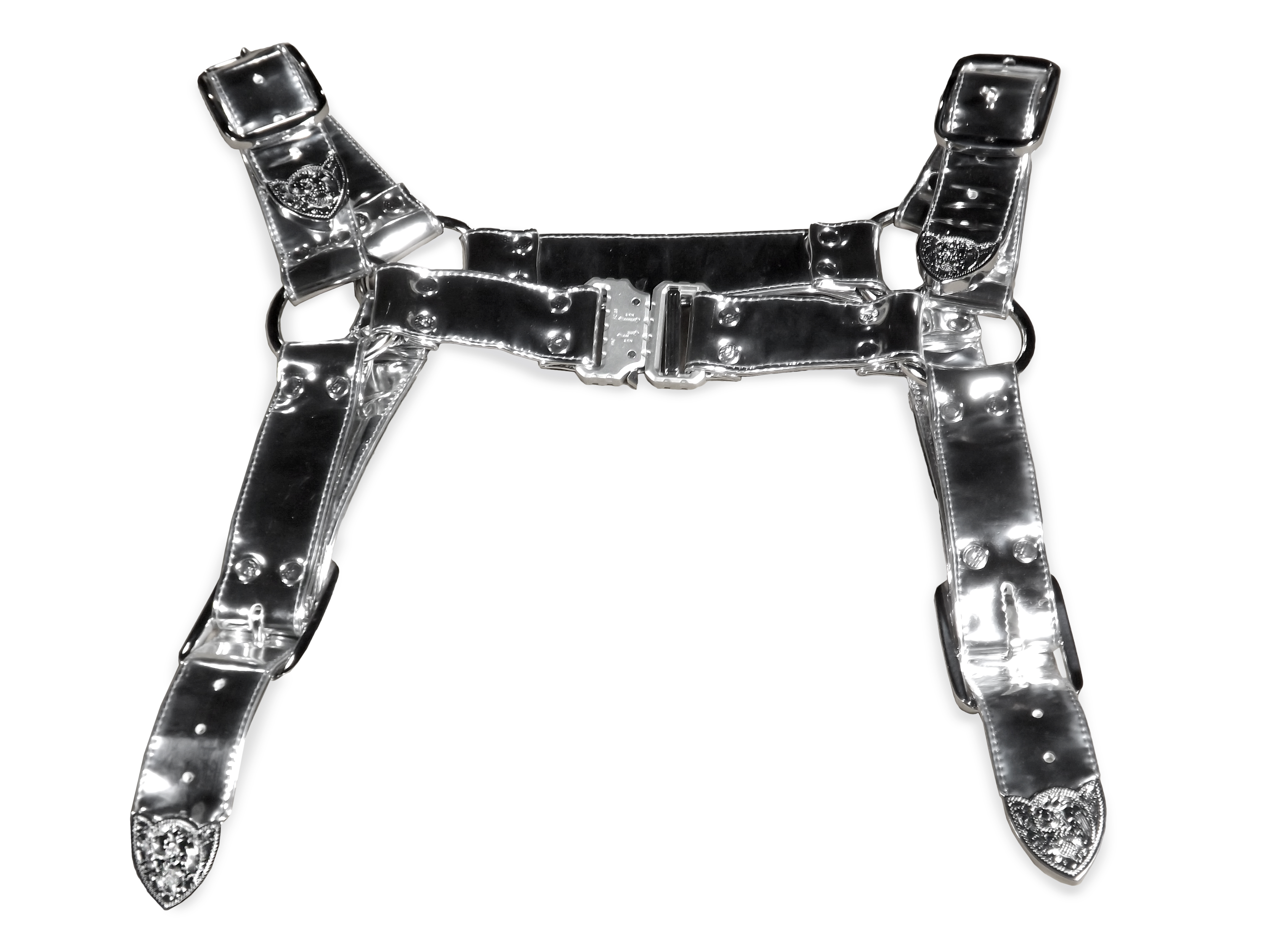 Silver Harness Photography